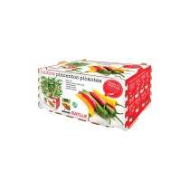 Pflanzset Batlle Paprika Pikant 30 x 19,5 x 16,2 cm