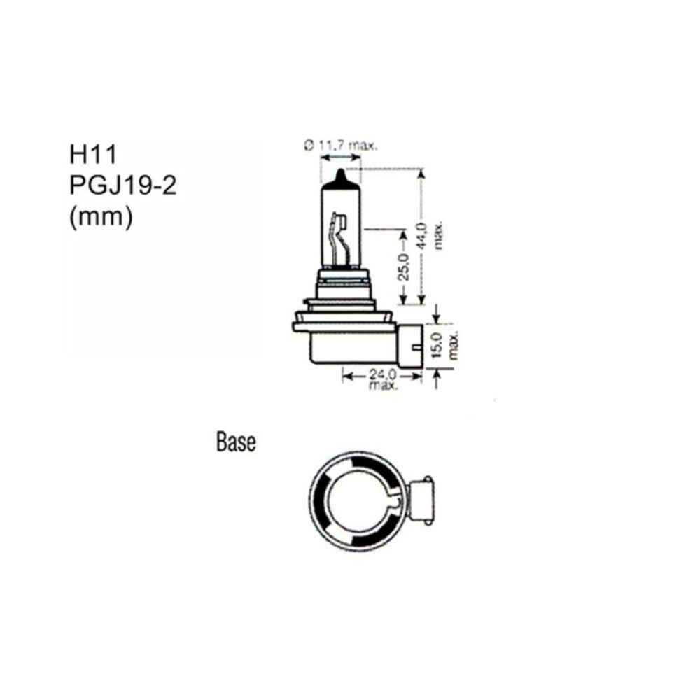 Ampoule pour voiture M-Tech PTZSW11-DUO 12 V Partie arrière Halogène 55 W