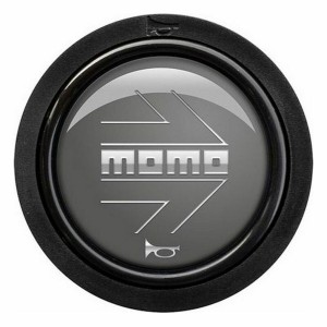 Bouton MOMO SPHOARWANTCHR Argenté