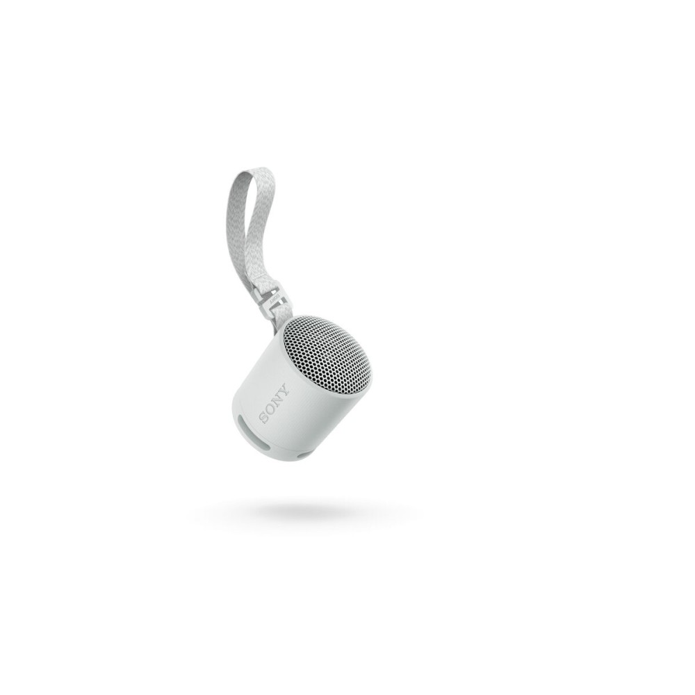 Haut-parleurs bluetooth portables Sony Gris