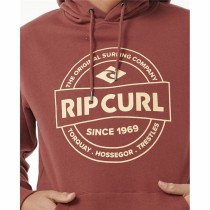 Sweat à capuche homme Rip Curl Stapler Hood Marron