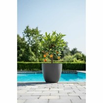 Blumentopf Garden ID Phoenix Anthracite Anthrazit 48 x 42 cm