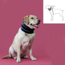 Halskrause für Hunde KVP Schwarz (10-41 cm)