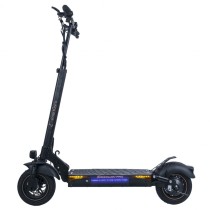 Electric Scooter Smartgyro Black 800 W