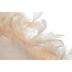 Cushion Home ESPRIT Pink Feathers Chic 40 x 10 x 40 cm