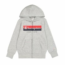 Sweat à capuche homme Champion Gris clair