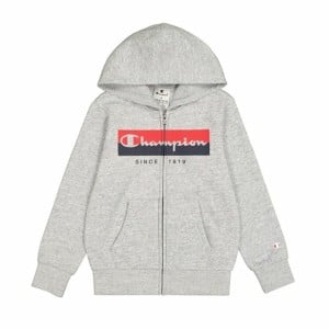 Sweat à capuche homme Champion Gris clair