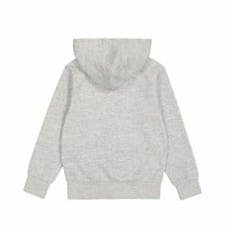 Sweat à capuche homme Champion Gris clair