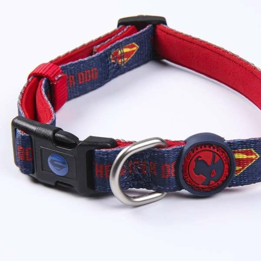 Collier pour Chien DC Pets