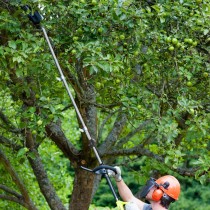 Scie à chaîne Ryobi 25 cm