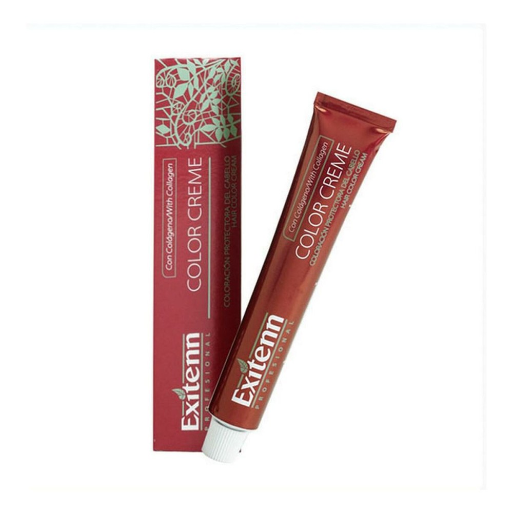 Permanent Dye Color Creme Exitenn Nº 666 Red Ruby (60 ml)