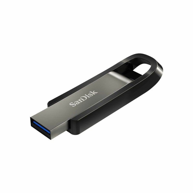 Pendrive   SanDisk Extreme Go         Stahl 256 GB (1 Stück)