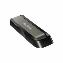 Pendrive   SanDisk Extreme Go         Steel 256 GB (1 Unit)