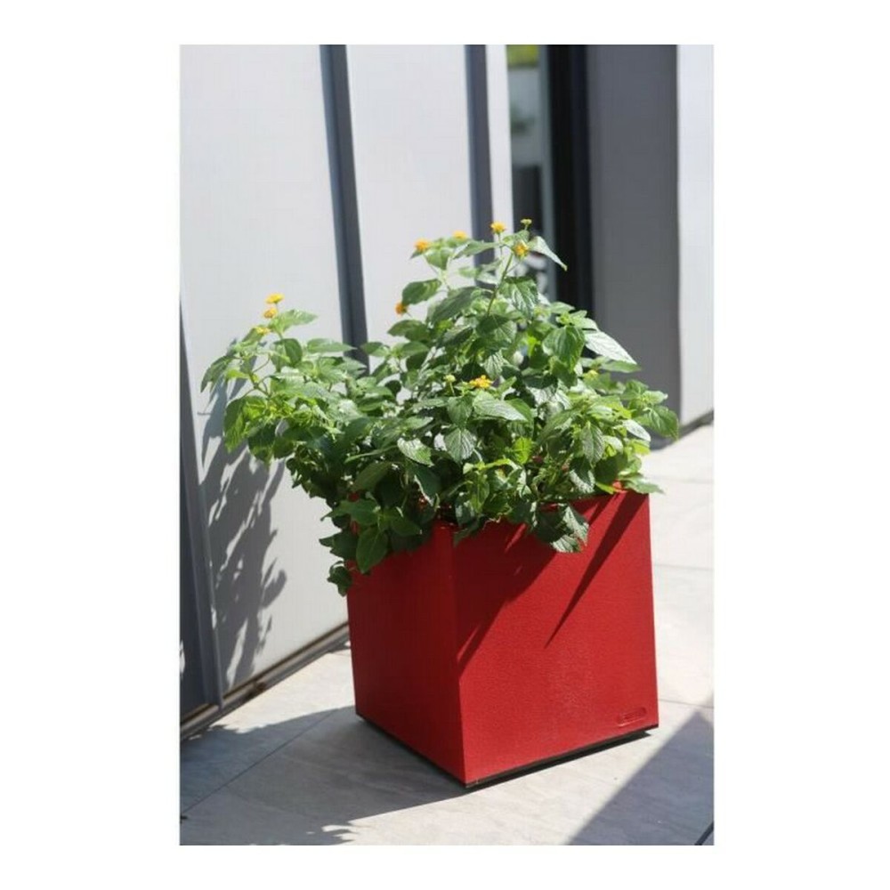 Blumentopf Riviera Rot Kunststoff karriert 40 x 40 cm