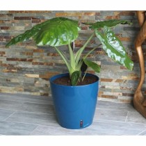 Blumentopf Riss RIV3580796331061 Ø 30 cm