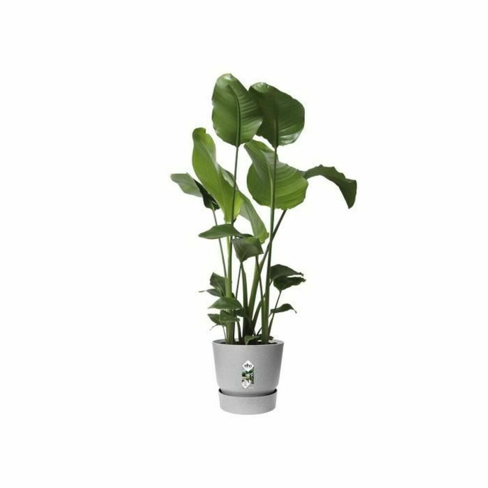 Blumentopf Elho Greenville Ø 24,48 cm Kunststoff