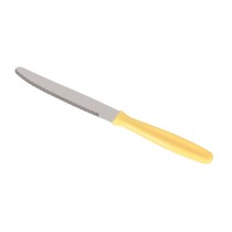 Ensemble de Couteaux Quttin Basic 12,5 cm 6 Pièces (12 Unités)