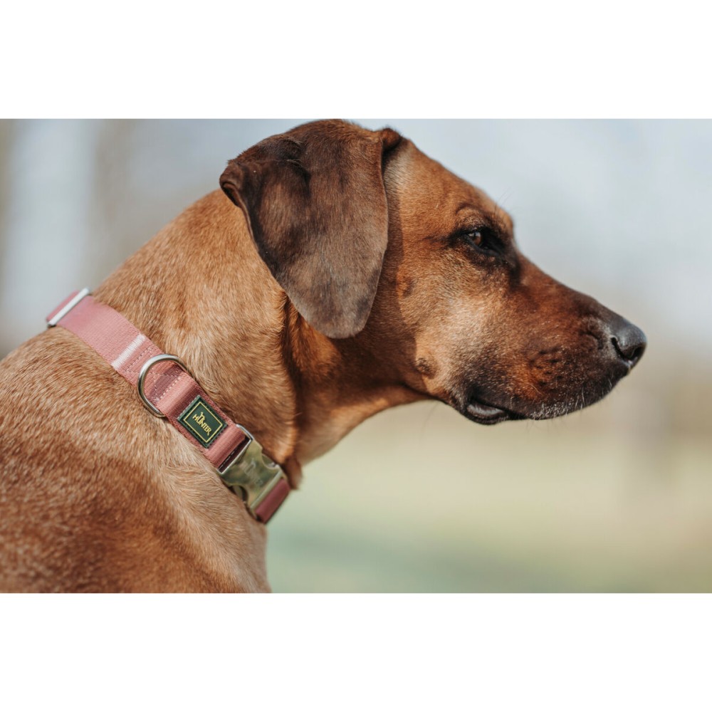 Hundehalsband Hunter Rot 40-55 cm L