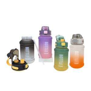 Bottle with Lid and Straw Bewinner Multicolour 800 ml