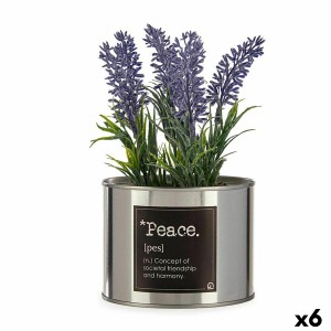 Decorative Plant Ibergarden Metal Plastic Can Lavendar 10 x 18 x 10 cm (6 Units)