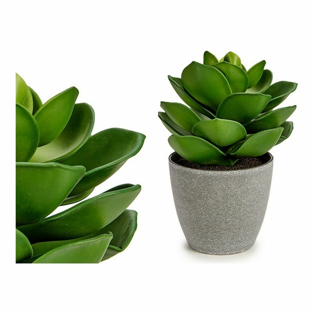 Plante décorative Ibergarden YC1814571 Plastique 16 x 21 x 16 cm Gris Vert (6 Unités)