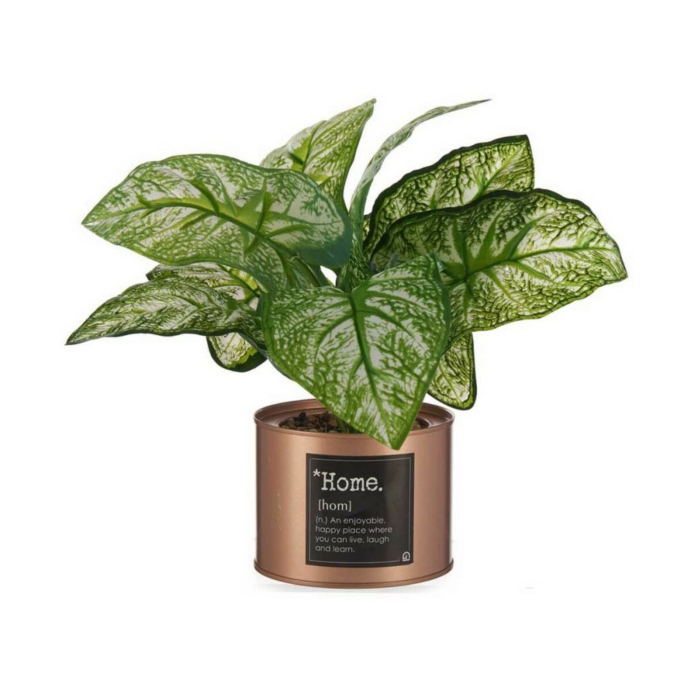 Decorative Plant Ibergarden Home Metal Plastic Can 26 x 26 x 26 cm Copper (6 Units)