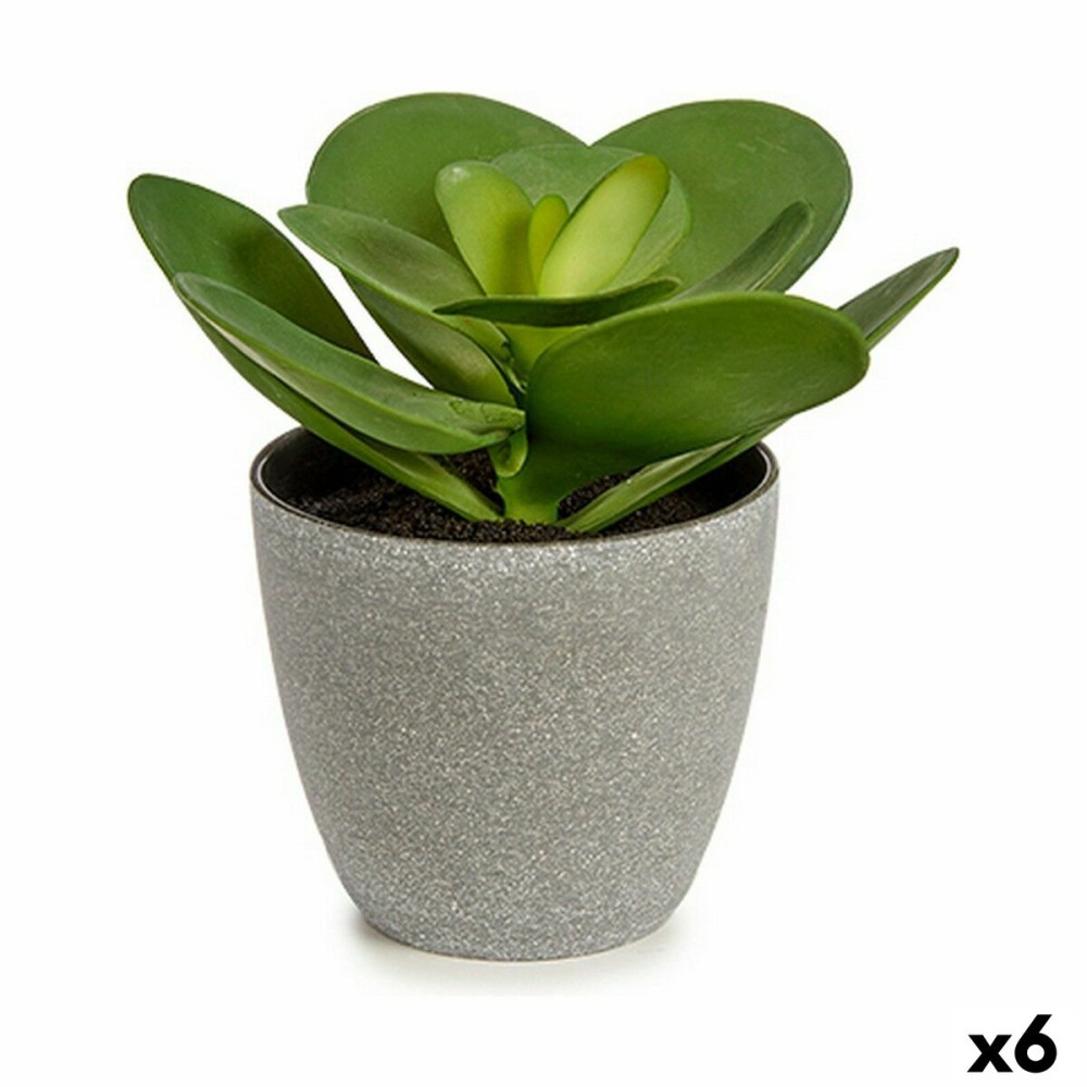 Plante décorative Ibergarden YC184572 Plastique 18 x 18,5 x 18 cm (6 Unités)