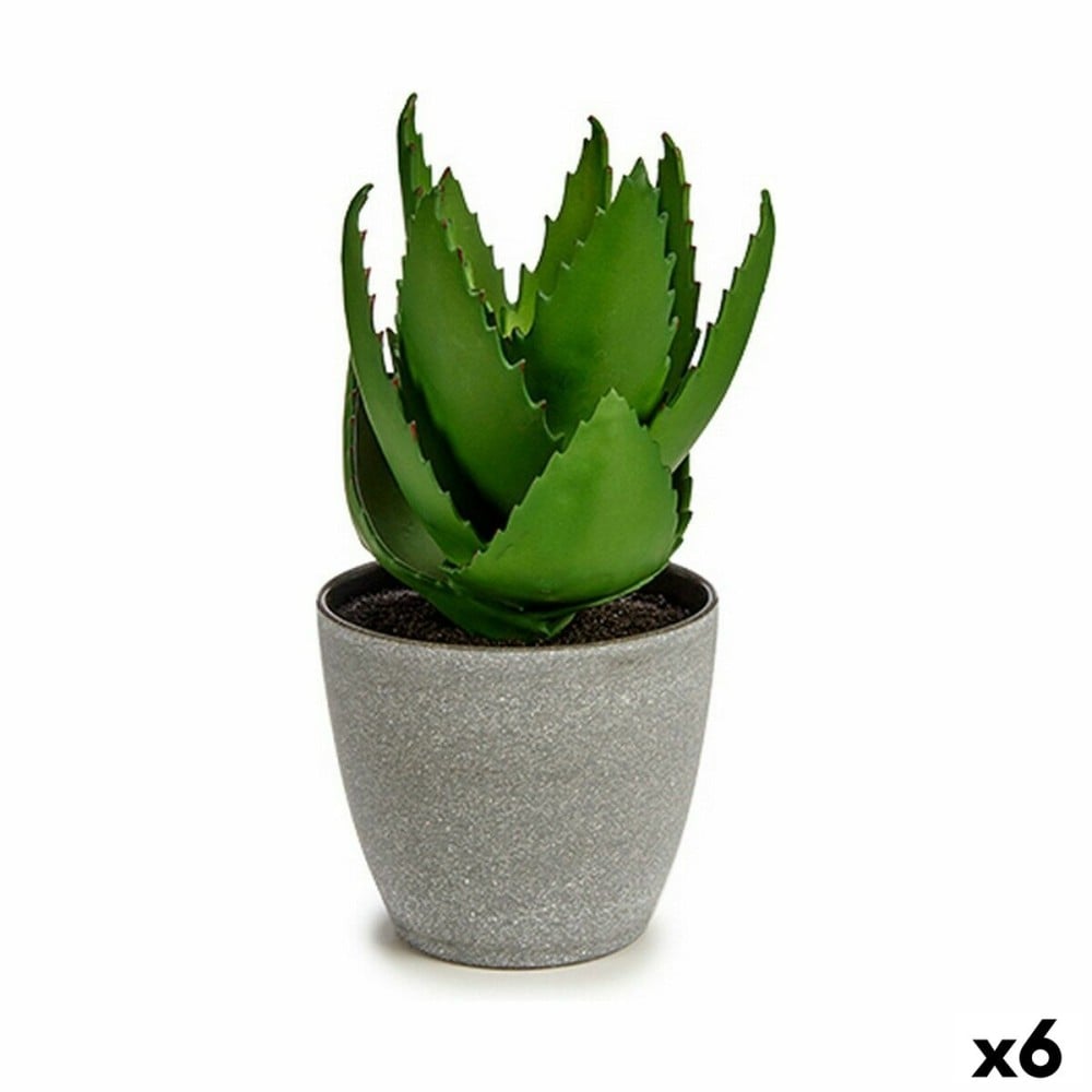 Decorative Plant Ibergarden YC184573 Plastic Aloe Vera 15 x 23,5 x 15 cm (6 Units)