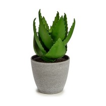 Plante décorative Ibergarden YC184573 Plastique Aloe Vera 15 x 23,5 x 15 cm (6 Unités)