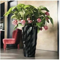 Self-watering flowerpot Lechuza Ø 40 cm Black Plastic (1 Unit)