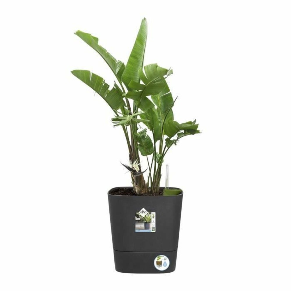 Pot auto-arrosant Elho Greensense Aqua Care Ø 38 x 38,9 cm Gris foncé Carré