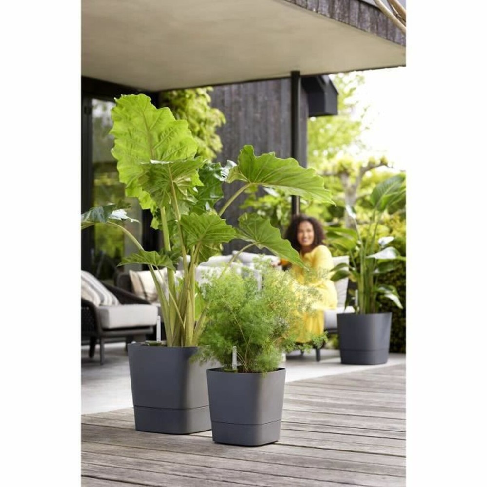 Self-watering flowerpot Elho Greensense Aqua Care Ø 38 x 38,9 cm Dark grey Squared