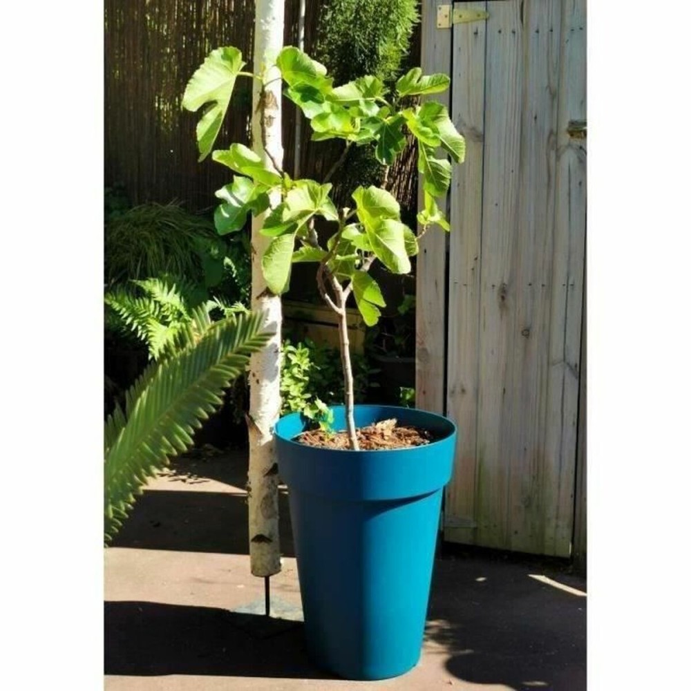 Plant pot Riss 53 cm Blue Plastic