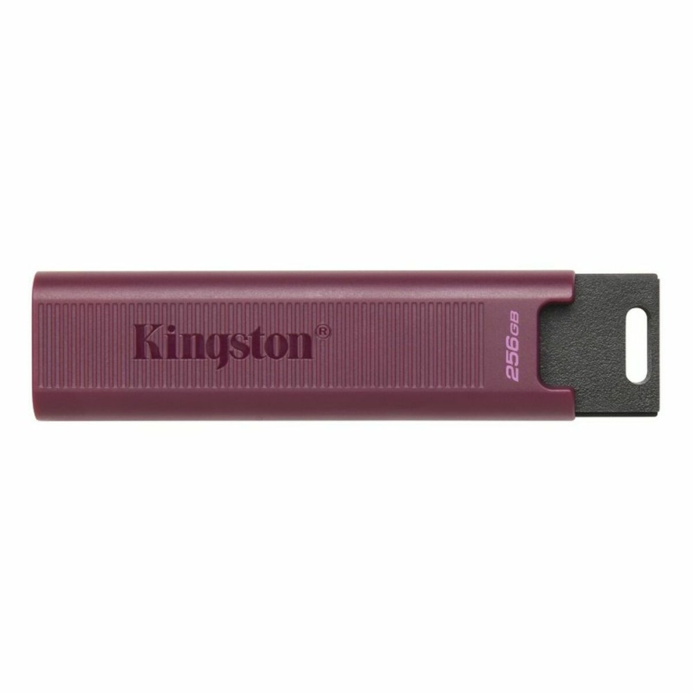 USB stick   Kingston DTMAXA/256GB         Red 256 GB