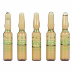 Ampoules Endoncare Tensage Regenerative (10 x 2 ml)