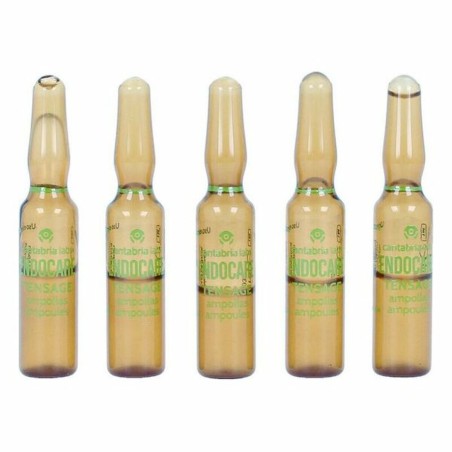 Ampoules Endoncare Tensage Regenerative (10 x 2 ml)