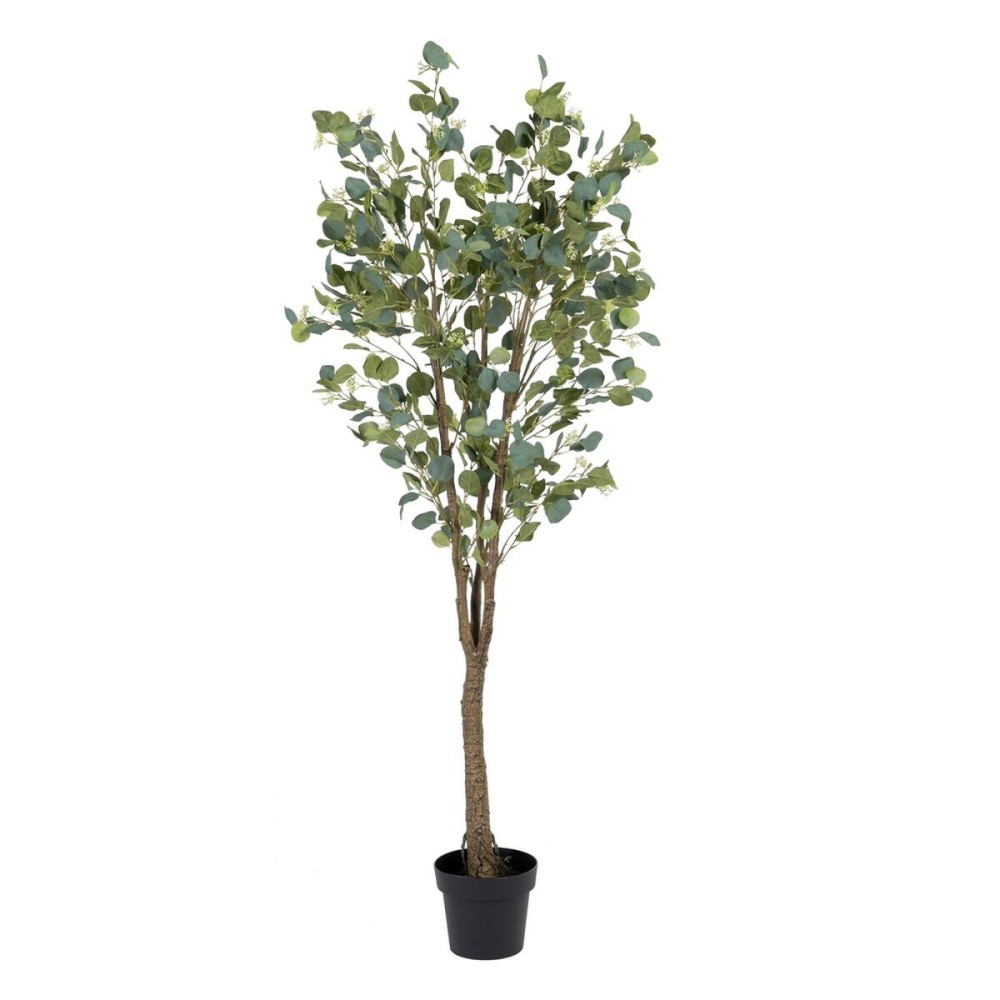 Plante décorative 80 x 75 x 173 cm Vert PVC Eucalyptus