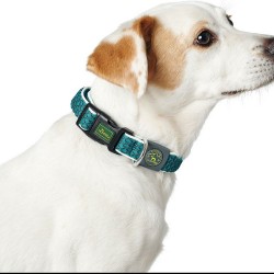 Hundehalsband Hunter Basic Thema Blau 20