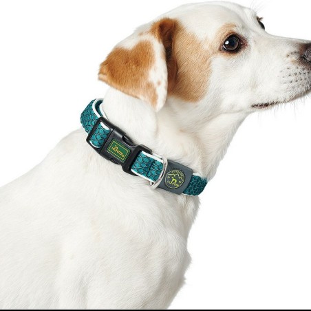 Collier pour Chien Hunter Basic Fil Bleu 20