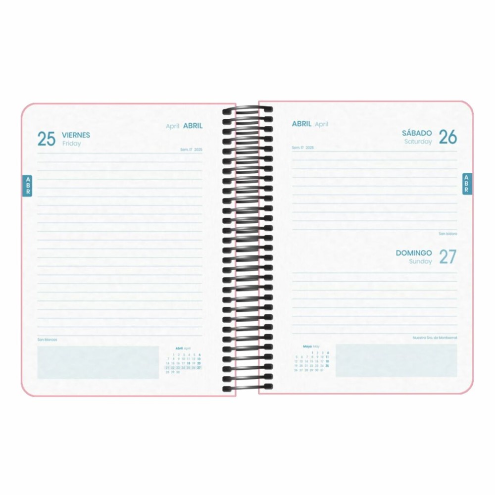 Agenda DOHE DP MEMORY BASIC Rose A6 12 x 17 cm 2024-2025