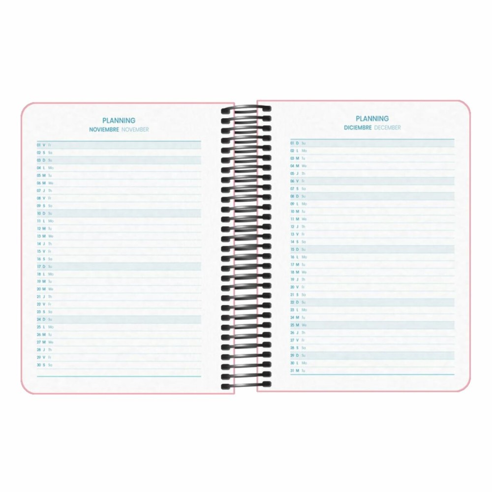 Agenda DOHE DP MEMORY BASIC Rose A6 12 x 17 cm 2024-2025