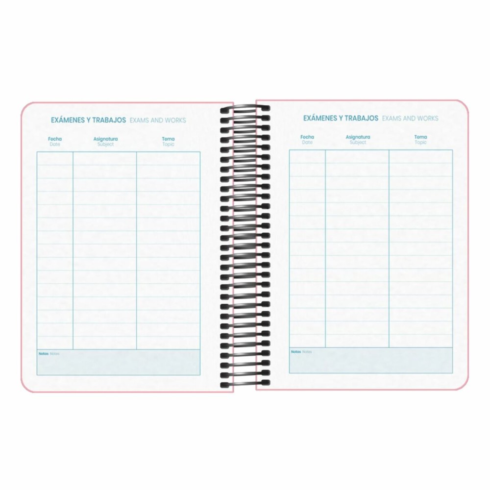 Agenda DOHE DP MEMORY BASIC Rose A6 12 x 17 cm 2024-2025