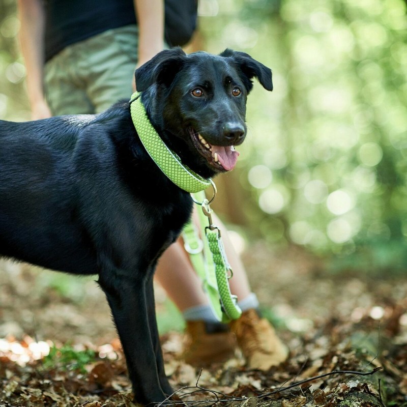 Hundehalsband Hunter Plus Thema Neongrün XL (45-70 cm)