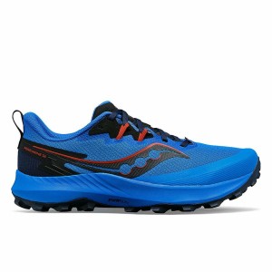 Herren-Sportschuhe Saucony Peregrine 14 Blau