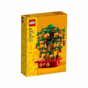 Construction set Lego 40648