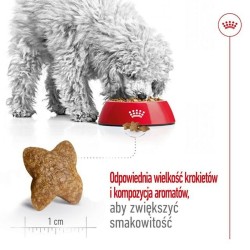 Futter Royal Canin Adult Mini S Vögel 2 Kg