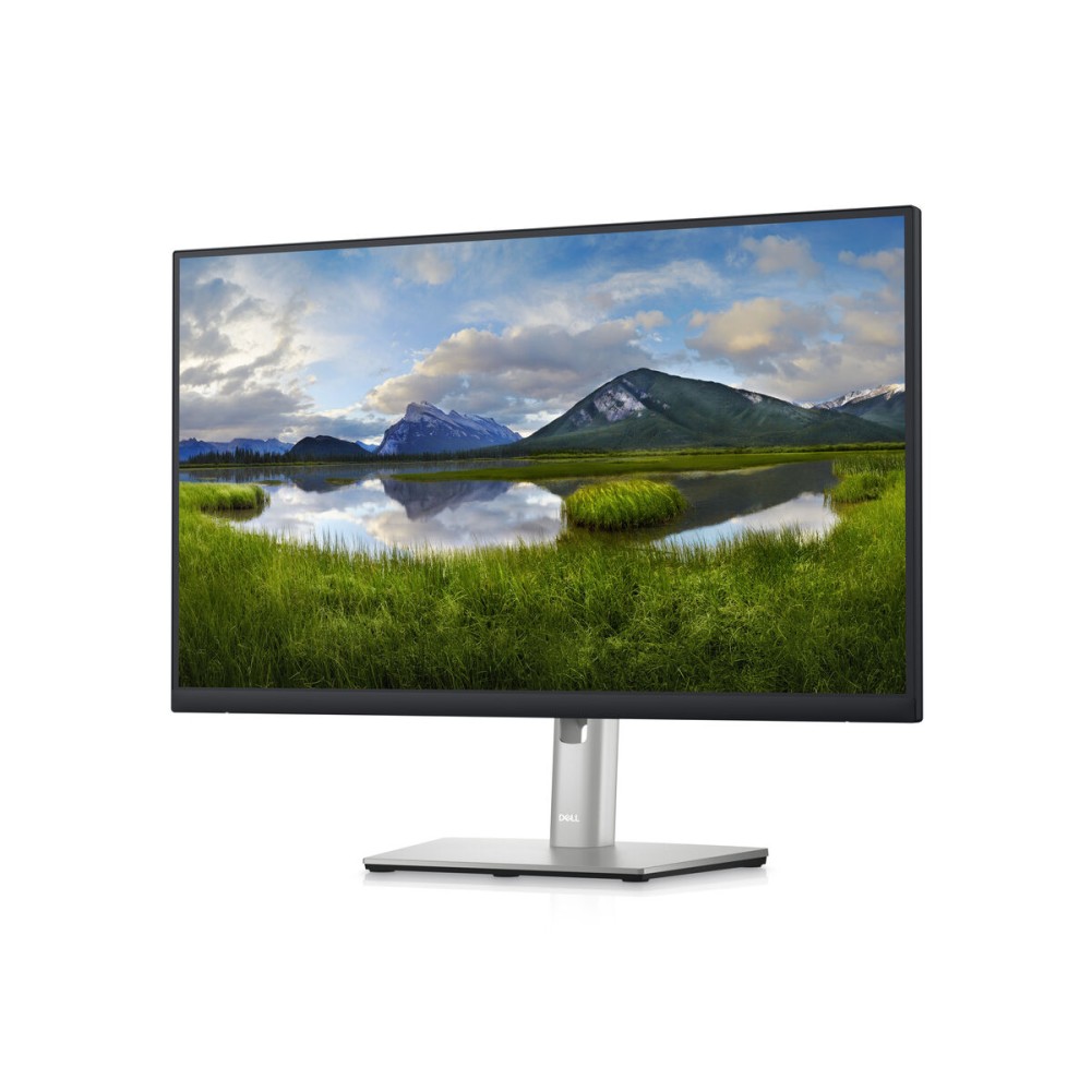 Écran Dell P2423D 23,8" Quad HD