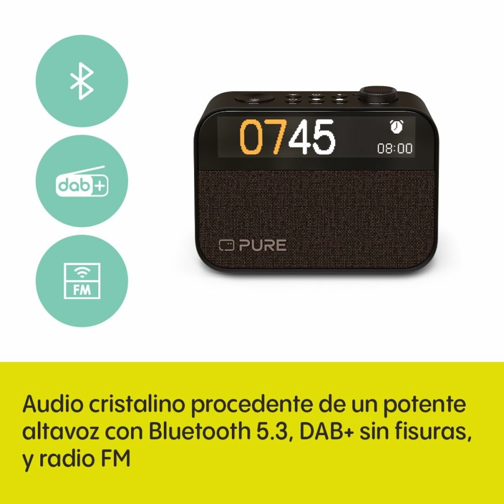 Clock-Radio Pure PURE MOMENT