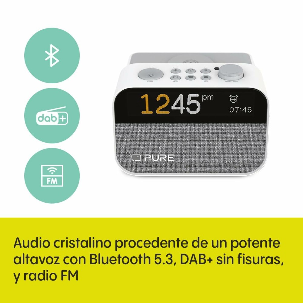 Clock-Radio Pure PURE MOMENT