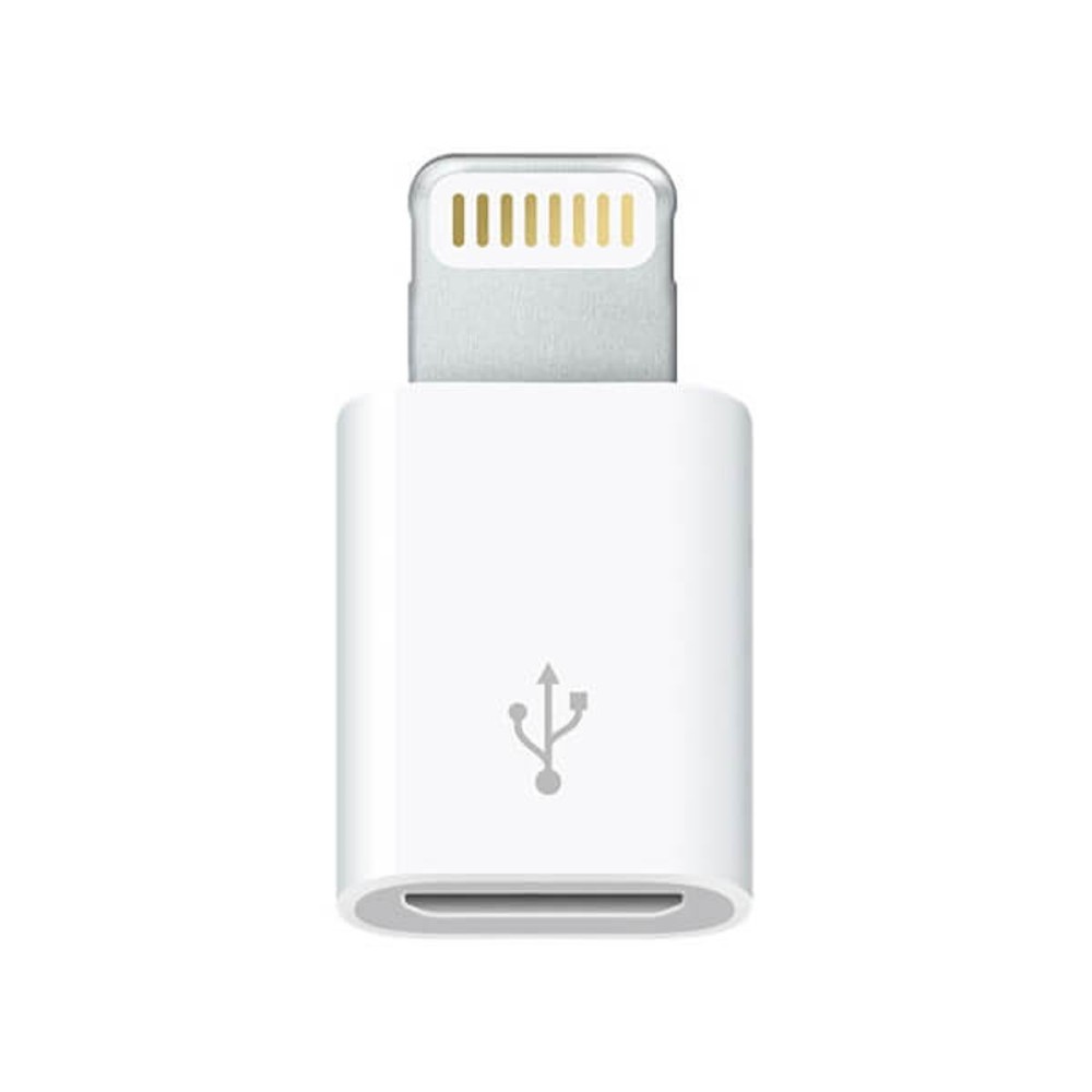 Adaptateur Micro USB vers Lightning Apple MD820ZM/A